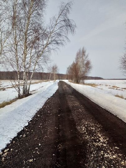 Участок 2,45 га (СНТ, ДНП)