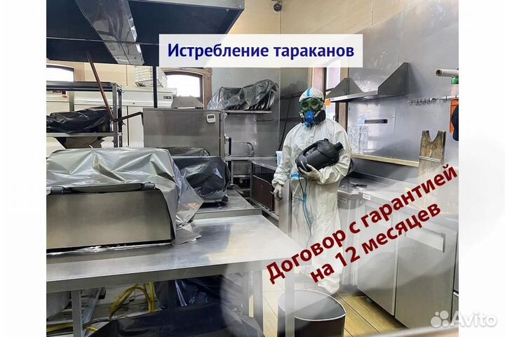 Уничтожение клопов тараканов грызунов