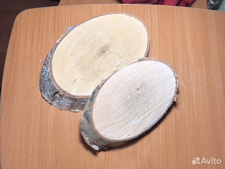 Спилы березы