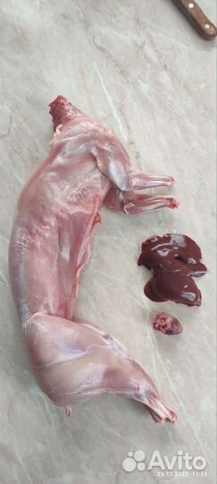 Продам мясо кролика