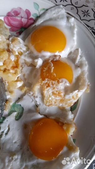 Яйцо домашнее