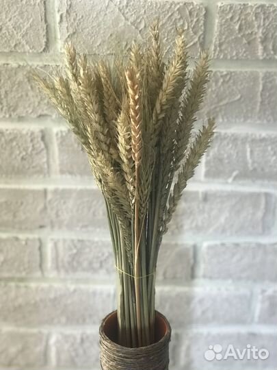 Букеты из стабилизированных цветов и сухоцвета