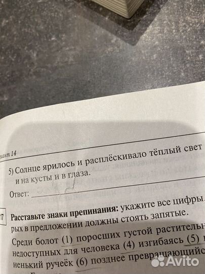 Егэ русский язык 2023