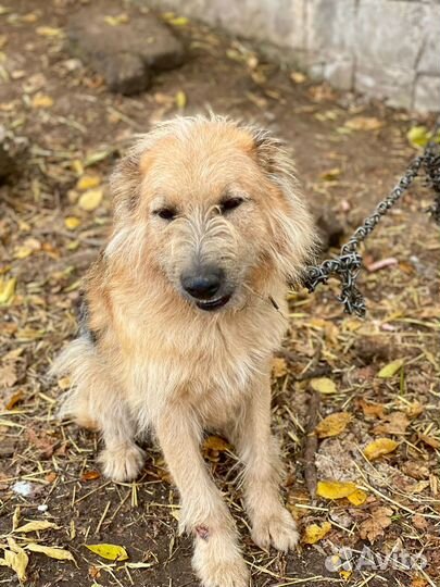 Ждут и Верят