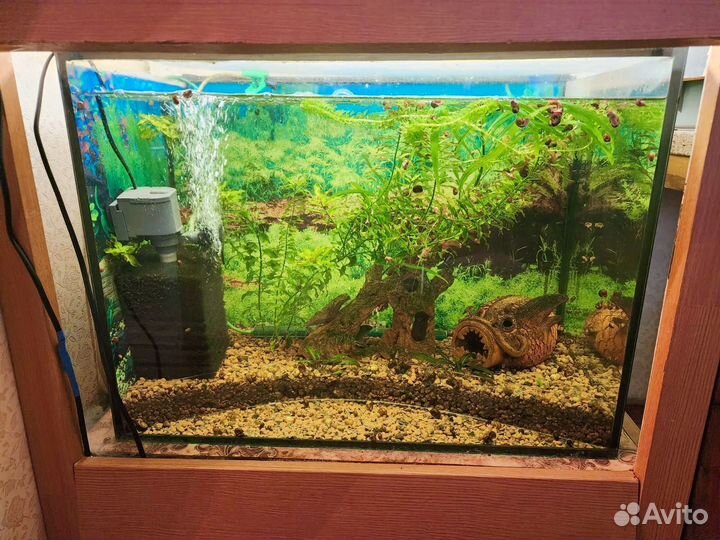 Аквариум с рыбками