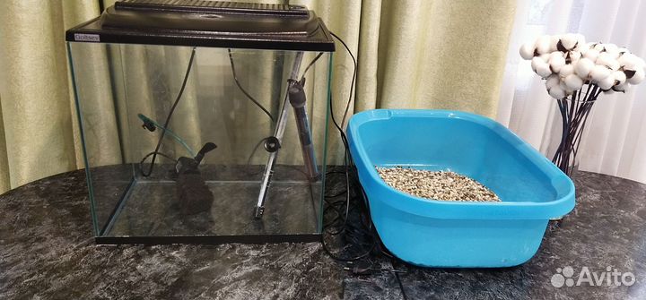 Аквариум + аксессуары