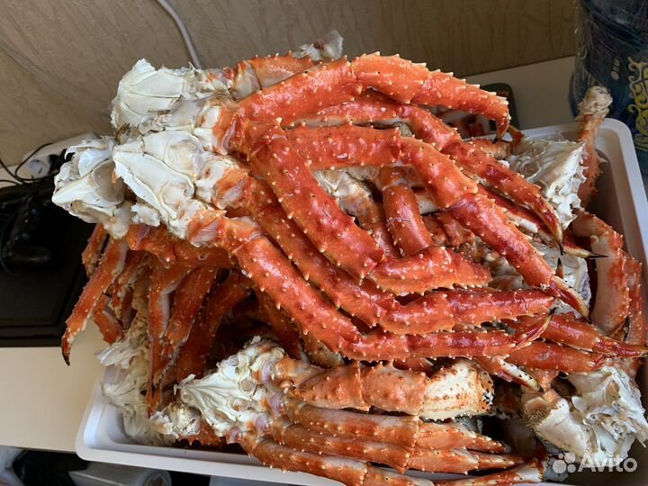 Клешни, конечности камчатского краба