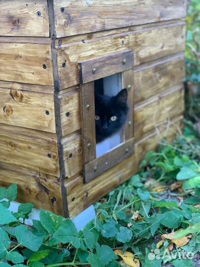 Домик для кошки или собаки уличный утепленный