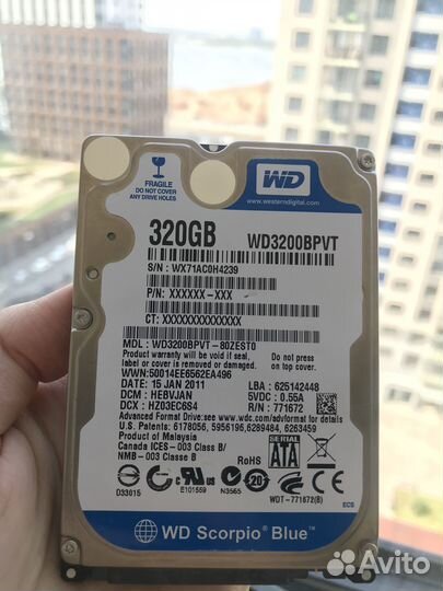 Жесткий диск 320 гб