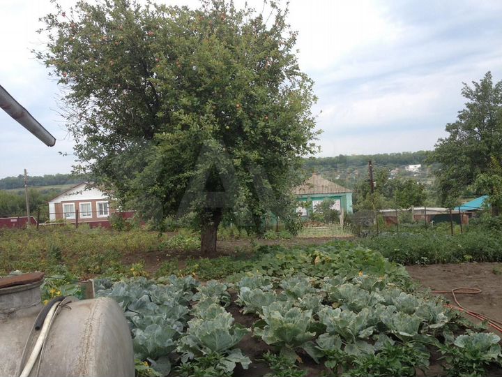 Дом 50 м² на участке 9 сот.