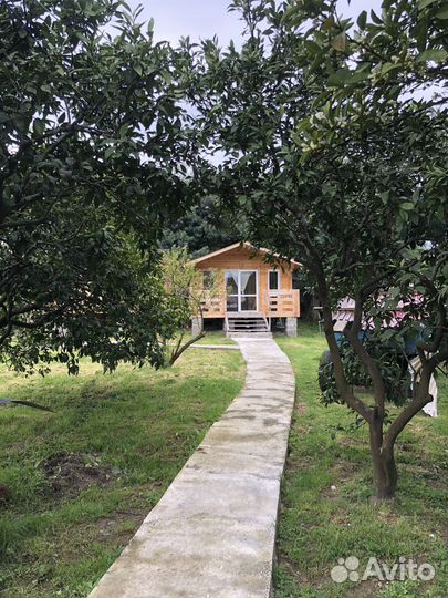 Отдых в Абхазии