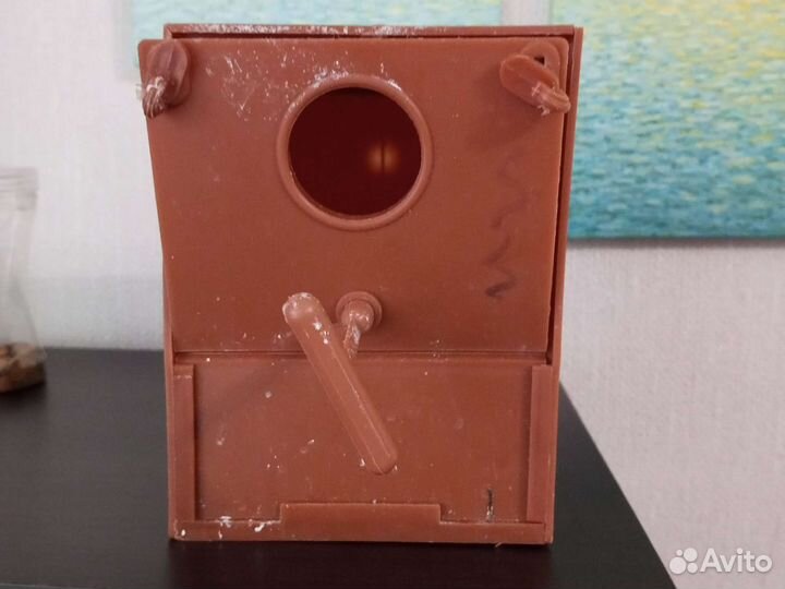 Домашние животные