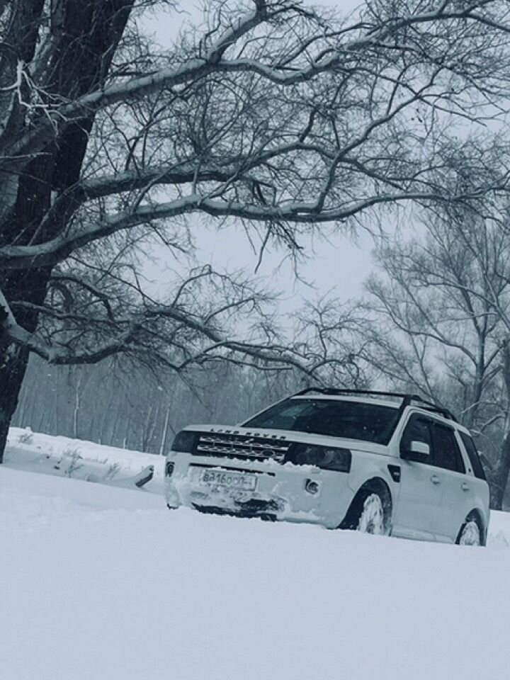 Land Rover Freelander: фото владельца