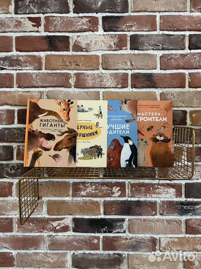 Комплект детских энциклопедий, энас-книга, 4 книги