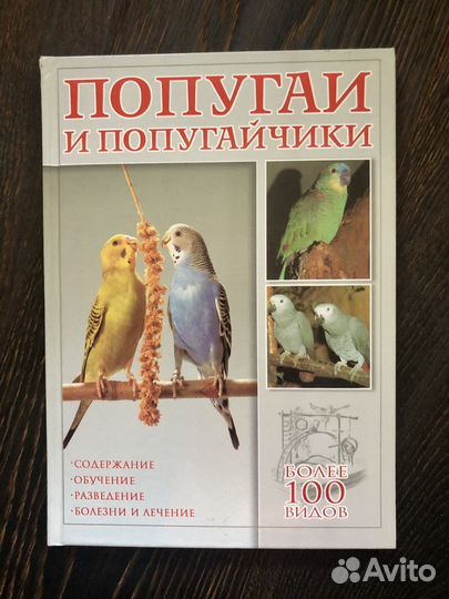 Попугаи и Попугайчики