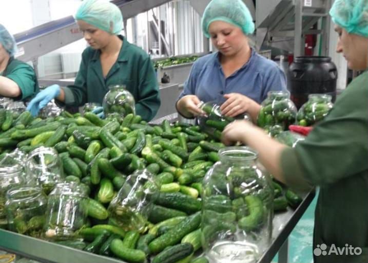 Разнорабочий на консервный вахта Краснод.кр