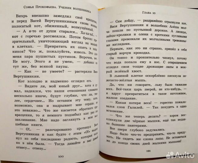 Ученик волшебника