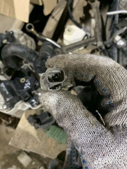 Температурный датчик Инфинити vq35 Ниссан vq35