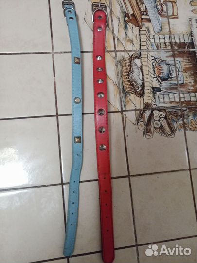 Шлейка для маленькой собаки