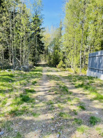 Участок 29 сот. (СНТ, ДНП)