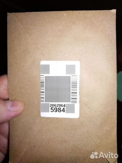 Семена голубой ели