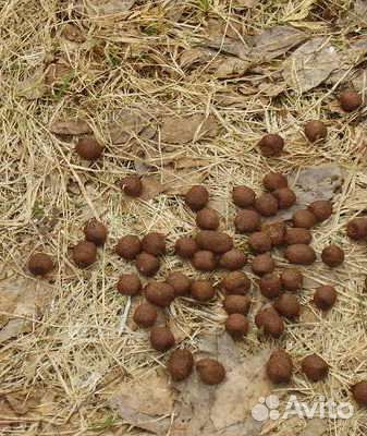 Конский навоз в мешках