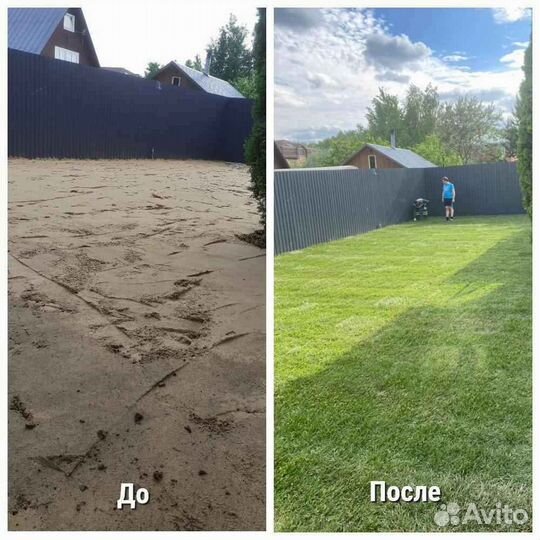 Рулонный газон /продажа/укладка