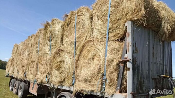 Сено в рулонах 2023