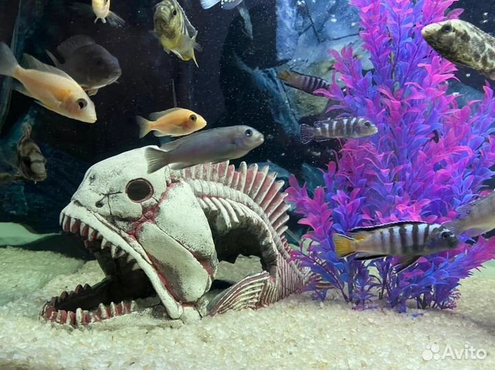 Аквариум с тумбой