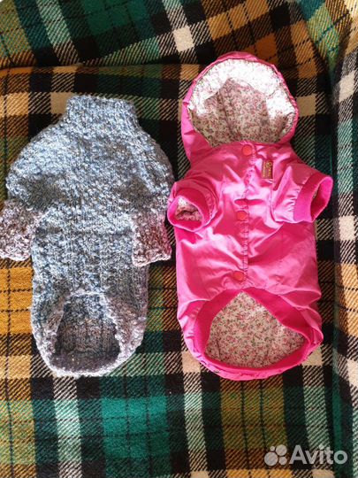 Одежда для маленьких собак