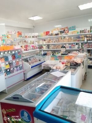 Магазин, пекарня 256,3 м² и зу 2 055 м²