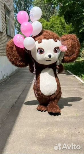 Чебурашка экспресс поздравления