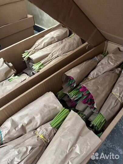 Тюльпаны к 8 марта оптом