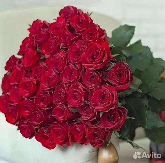 Розы Высокие 150см 160см 170см 180см 190см 2м