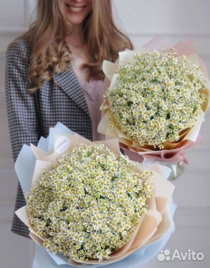 Ромашки букет