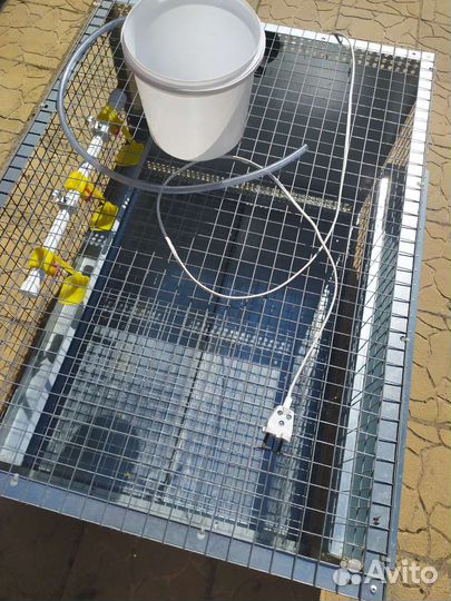 Клетки для кур