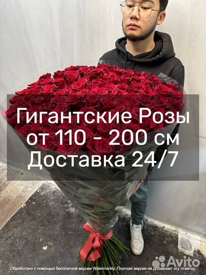 Большие розы от производителя