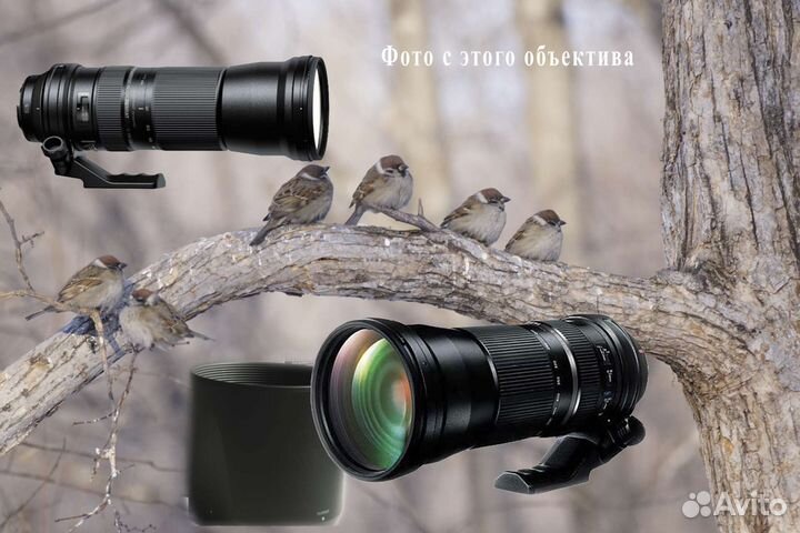 Объектив Tamron sp 150-600mm 5-6.3 Di USD