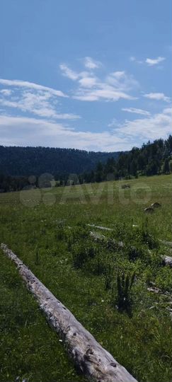 Участок 12 сот. (СНТ, ДНП)