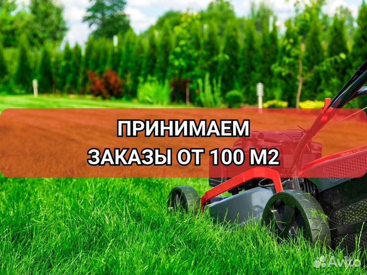 Рулонный газон, укладка, продажа