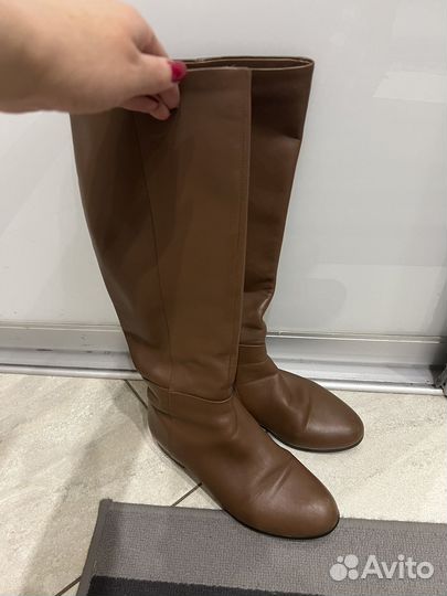 Сапоги женские