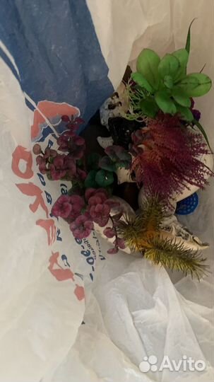 Аквариумы + рыбки + декор+ тумба