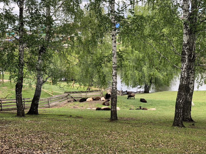 Участок 35 сот. (ИЖС)