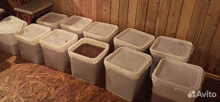 Мед цветочный