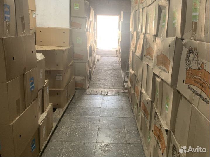 Яйцо куриное С1(бел) оптовый рынок 