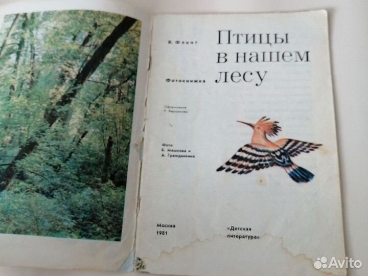 В. Флинт Птицы в нашем лесу Детская книга СССР