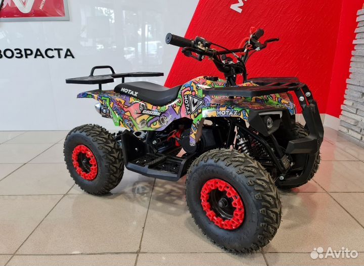 Детский квадроцикл Mini Grizlik X16 (PS, BW) motax