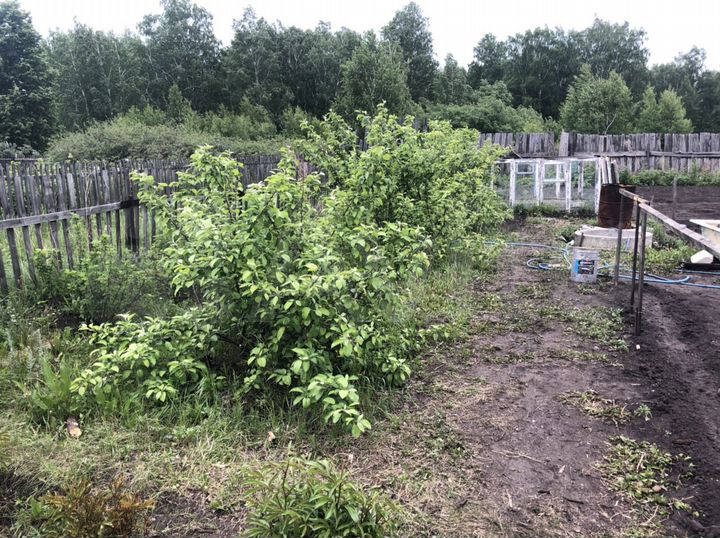 Дача 20 м² на участке 6 сот.