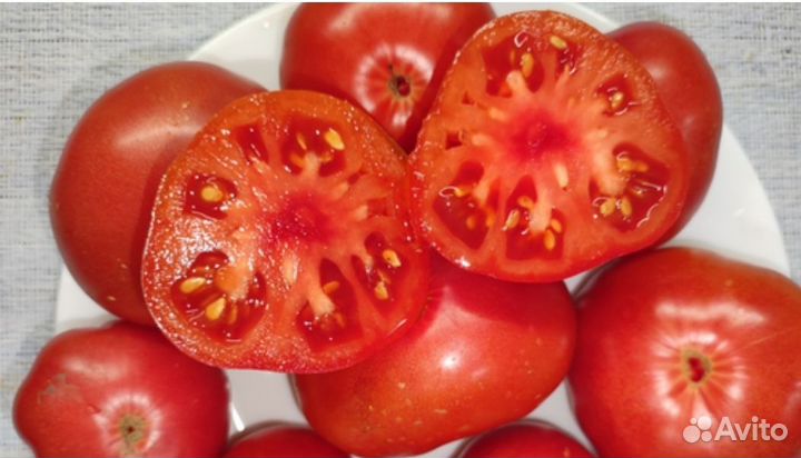 Рассада томаты, баклажаны, перцы