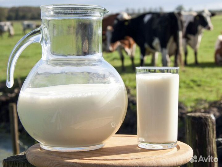 Домашняя молочная продукция оптом